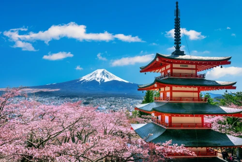 Tokyo City